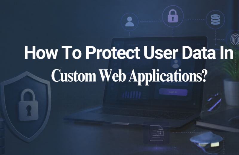 How To Protect User Data In A Custom Web Applications?