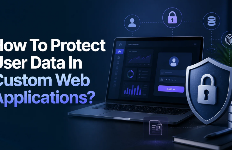 How To Protect User Data In A Custom Web Applications?